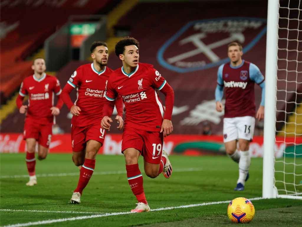 详的巴西国 详的巴西国